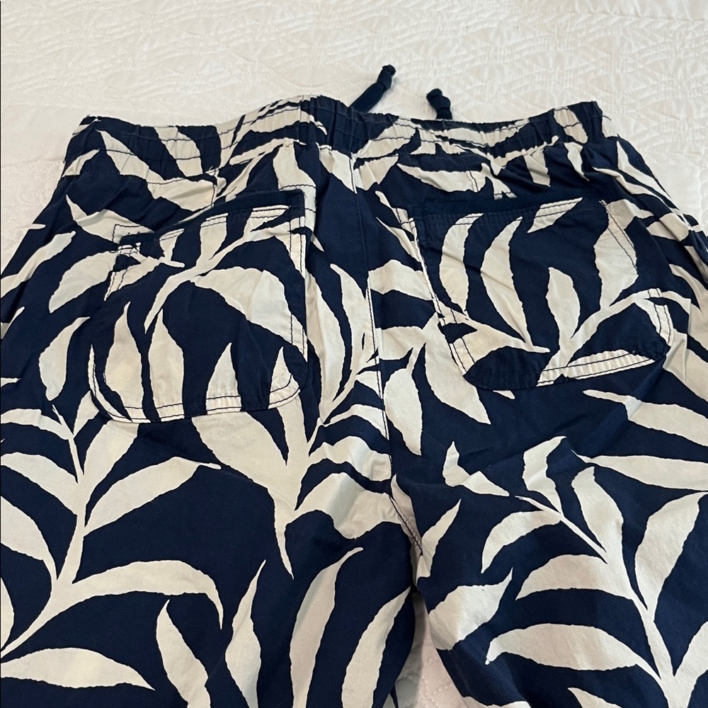 Democracy Capri - image 4